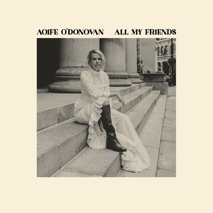 Rock / Indie / Alternative O'Donovan, Aiofe - All my Friends LP (violet)
