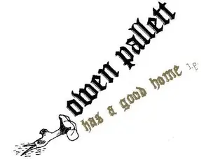 Rock / Indie / Alternative Owen Pallett - Has A Good Home LP
