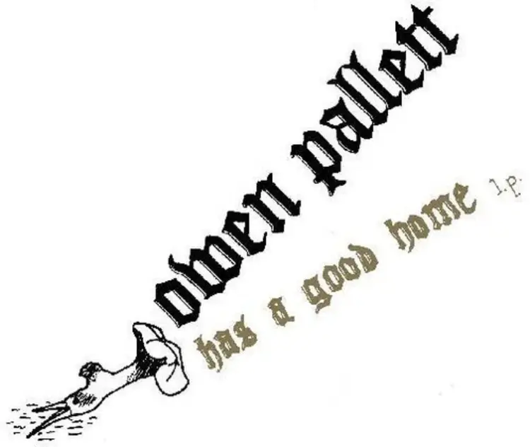 Rock / Indie / Alternative Pallett, Owen - Has A Good Home LP