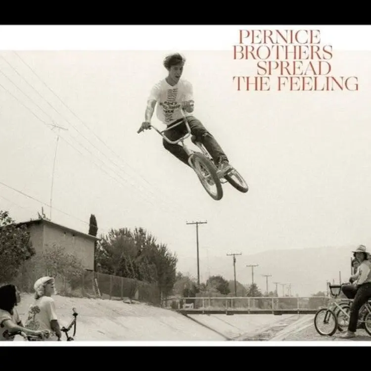 Rock / Indie / Alternative Pernice Brothers - Spread the Feeling