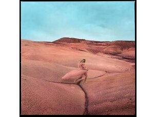 Rock / Indie / Alternative Margo Price - Strays LP (black)