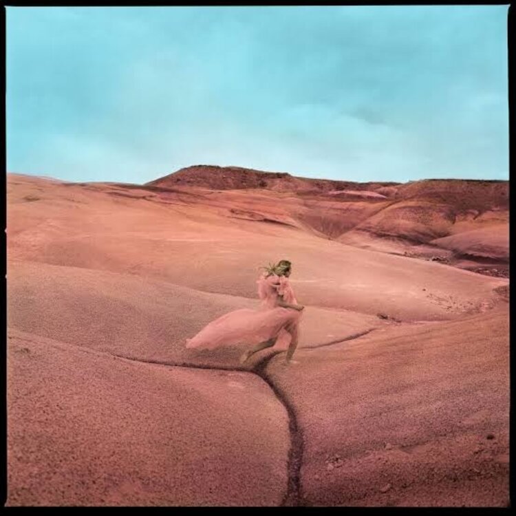 Rock / Indie / Alternative Price, Margo - Strays LP (black)