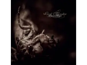 Rock / Indie / Alternative Piano Magic - Part Monster LP
