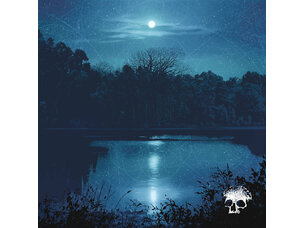 Rock / Indie / Alternative Planes Mistaken For Stars - Do You Still Love Me? LP