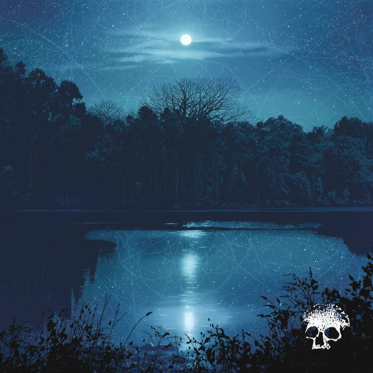 Rock / Indie / Alternative Planes Mistaken For Stars - Do You Still Love Me? LP