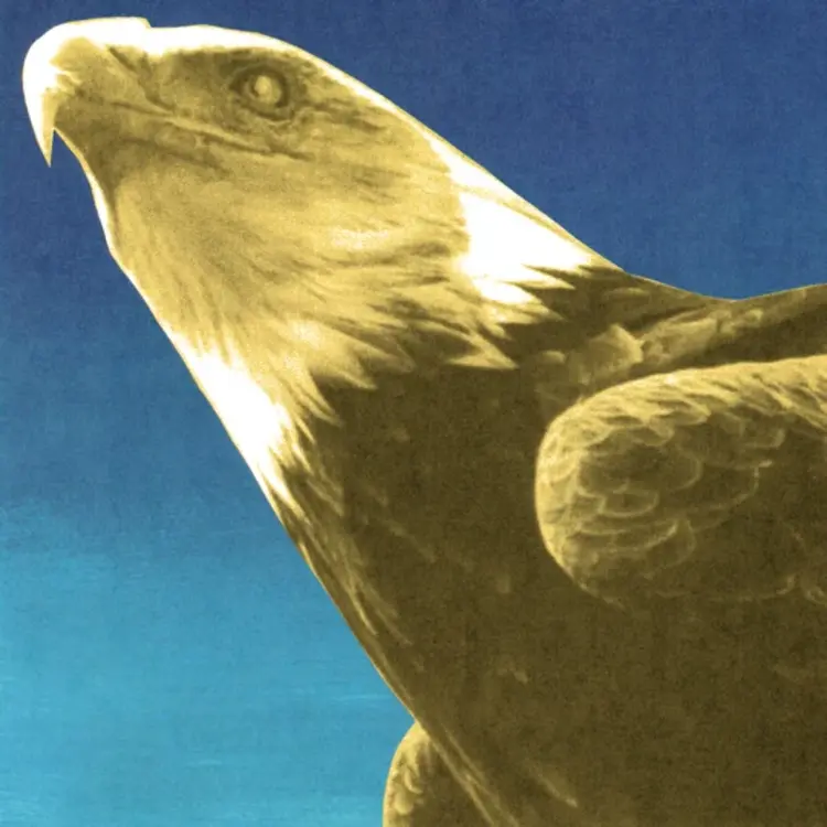 Rock / Indie / Alternative (9/25/26) Protomartyr - Hotel Usona