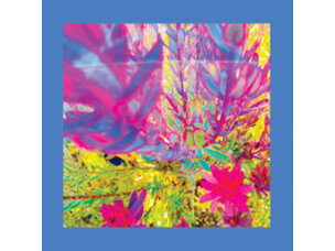 Rock / Indie / Alternative Reds, Pinks, & Purples - Past is a Garden.. LP