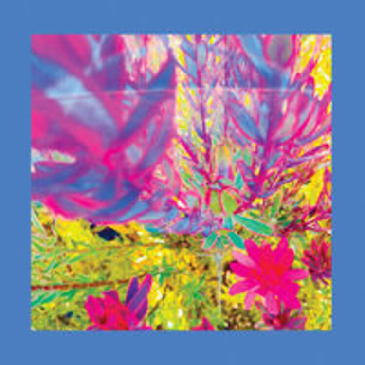 Rock / Indie / Alternative Reds, Pinks, & Purples - Past is a Garden.. LP