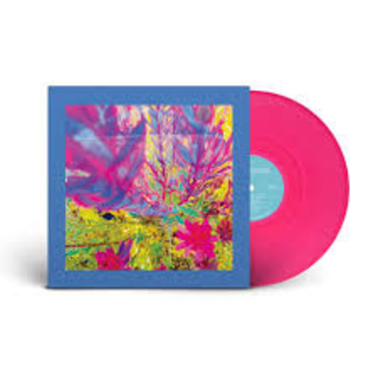 Rock / Indie / Alternative Reds, Pinks, & Purples - Past is a Garden.. LP