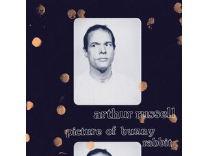 Rock / Indie / Alternative Arthur Russell - Picture of a Bunny Rabbit LP