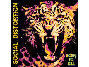 Punk / Hardcore Social Distortion - Born To Kill LP