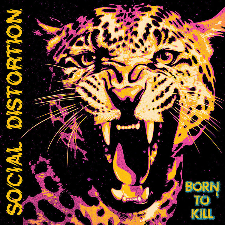 Punk / Hardcore Social Distortion - Born To Kill LP