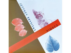 Rock / Indie / Alternative Jeffrey Running - Piqued LP