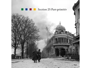 Rock / Indie / Alternative Sesction 25 - Part-Primitiv LP