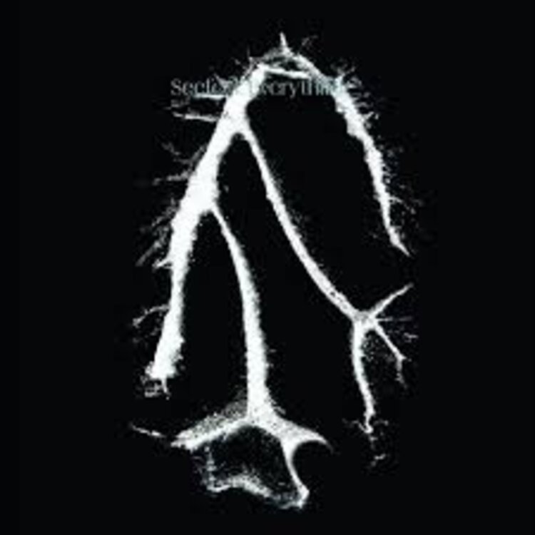Electronic Seefeel - Everything Squared LP