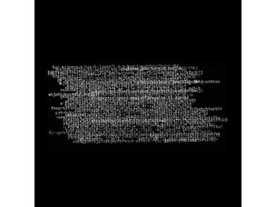 Rock / Indie / Alternative Ty Segall - Ty Rex