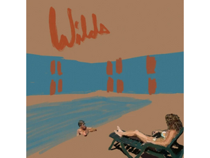 Rock / Indie / Alternative Andy Shauf - Wilds LP