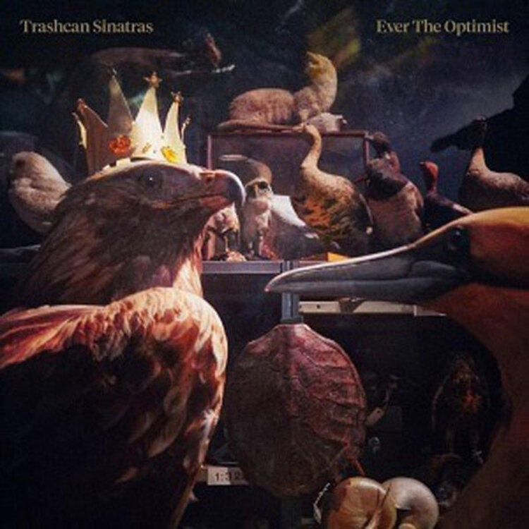 Rock / Indie / Alternative Trashcan Sinatras - Ever The Optimist LP