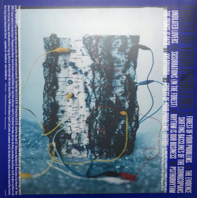 Rock / Indie / Alternative Snapped Ankles - Forest of Your Problems LP