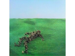 Rock / Indie / Alternative Squid - Bright Green Field LP
