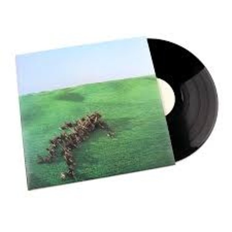 Rock / Indie / Alternative Squid - Bright Green Field LP
