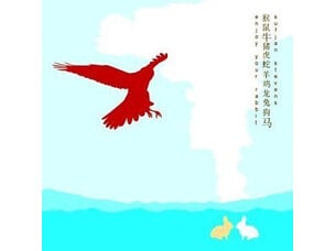 Rock / Indie / Alternative Sufjan Stevens 'Enjoy Your Rabbit' 2xLP