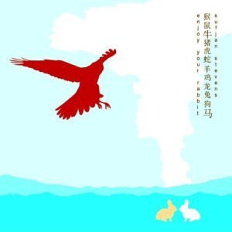 Rock / Indie / Alternative Sufjan Stevens 'Enjoy Your Rabbit' 2xLP