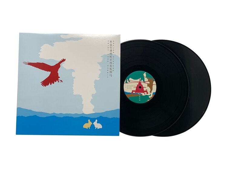 Rock / Indie / Alternative Sufjan Stevens 'Enjoy Your Rabbit' 2xLP