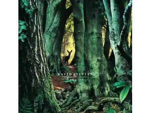David Sylvian - Manafon LP