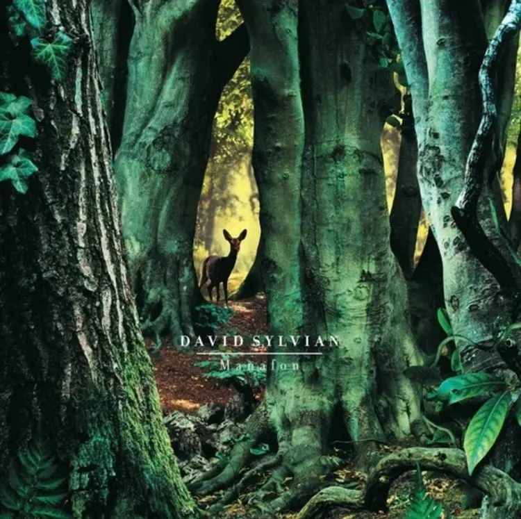 Sylvian, David - Manafon LP