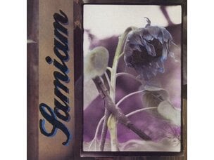 Rock / Indie / Alternative Samiam - Samiam LP (black and purple)