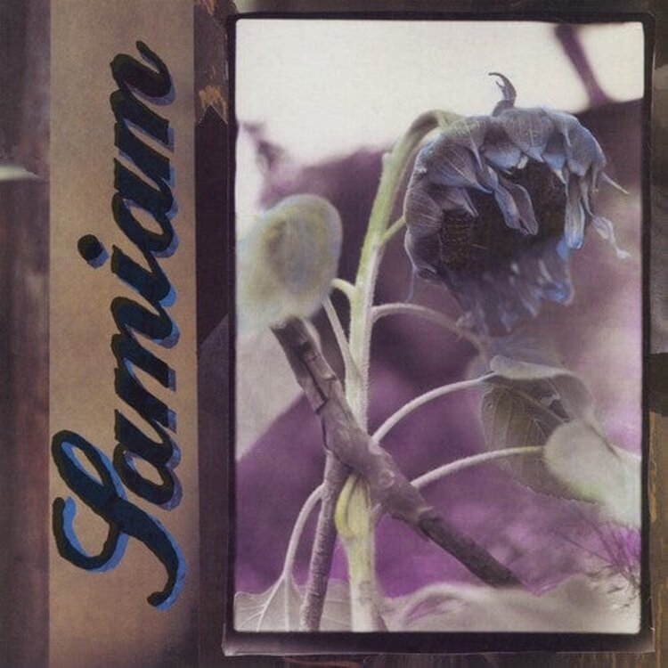 Rock / Indie / Alternative Samiam - Samiam LP (black and purple)