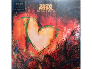 Rock / Indie / Alternative Snow Patrol - Forest is the.. LP (IEX)