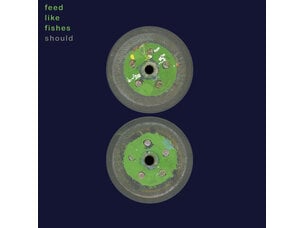 Rock / Indie / Alternative Should 'Feed Like Fishes' 2xLP