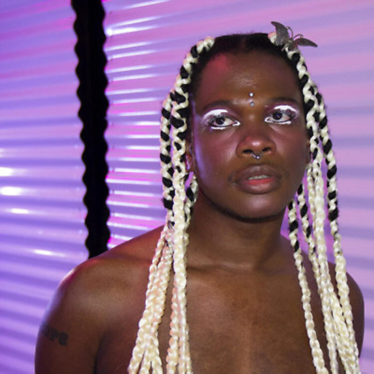 Rock / Indie / Alternative Shamir - Homo Anxietatem LP (purple)
