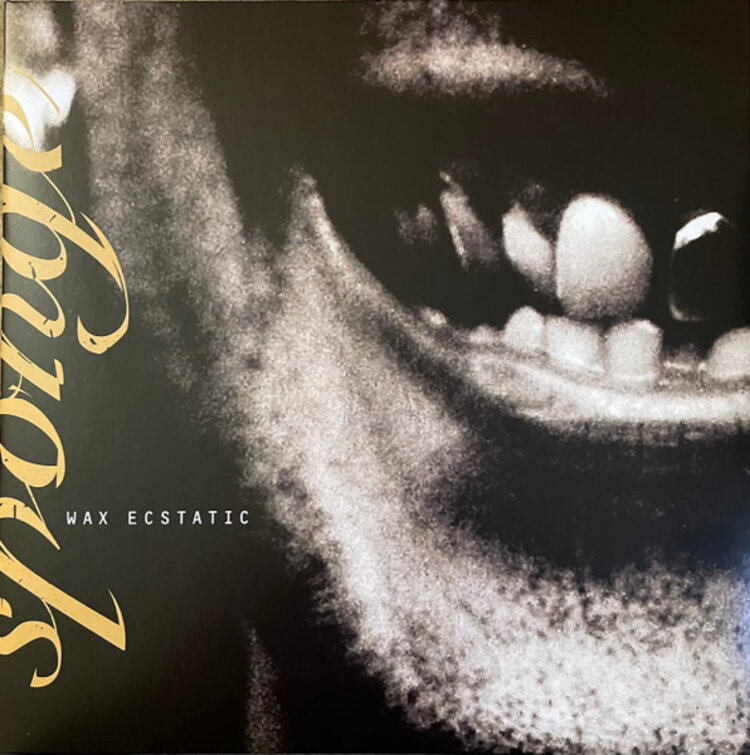Rock / Indie / Alternative Sponge - Wax Ecstatic LP