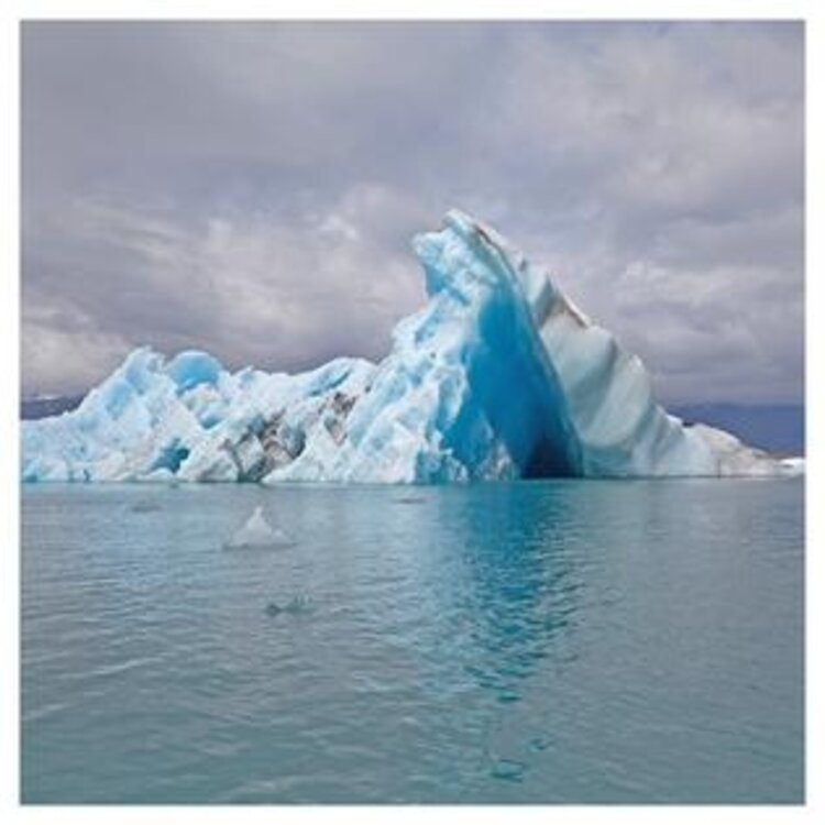 Rock / Indie / Alternative Surfer Blood - Snowdonia WHITE