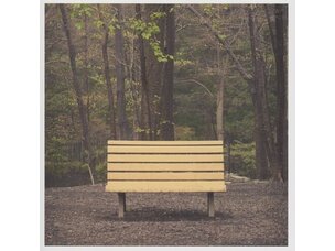 Rock / Indie / Alternative Steetlight Manifesto - The Hands... LP