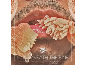 Rock / Indie / Alternative Toro Y Moi - Underneath the Pine LP