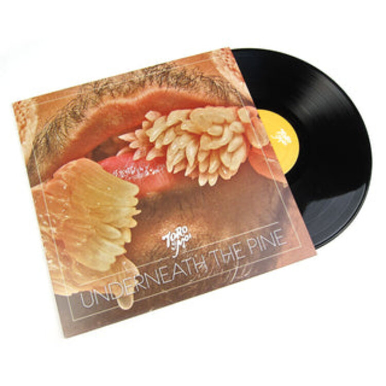 Rock / Indie / Alternative Toro Y Moi - Underneath the Pine LP