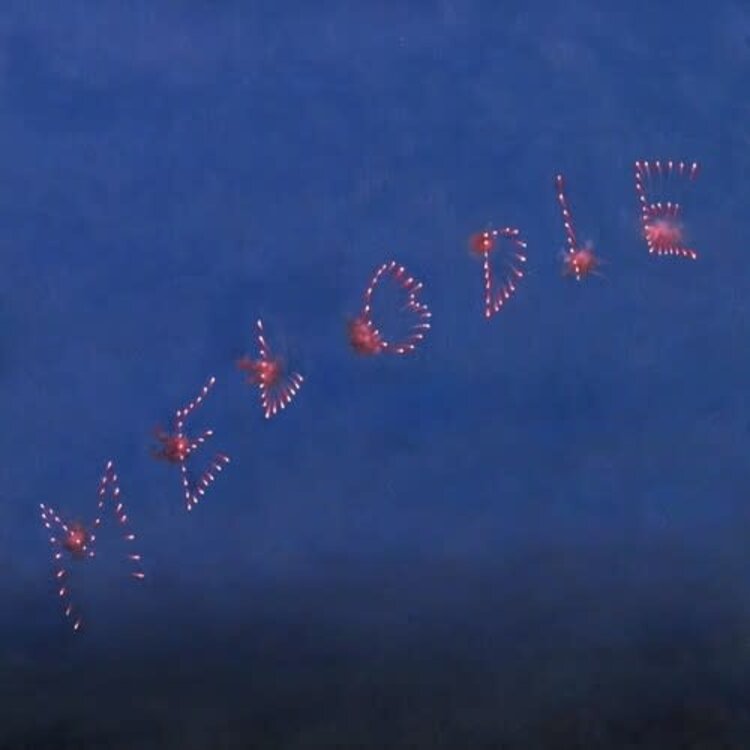 Rock / Indie / Alternative (9/18/26) Slow Pulp ) Melodie LP (indie)