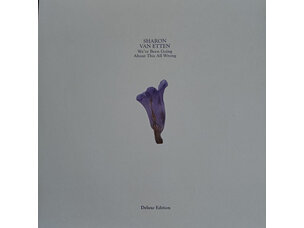 Rock / Indie / Alternative Sharon Van Etten - We’ve Been Going About This All Wrong LP (deluxe, custard)
