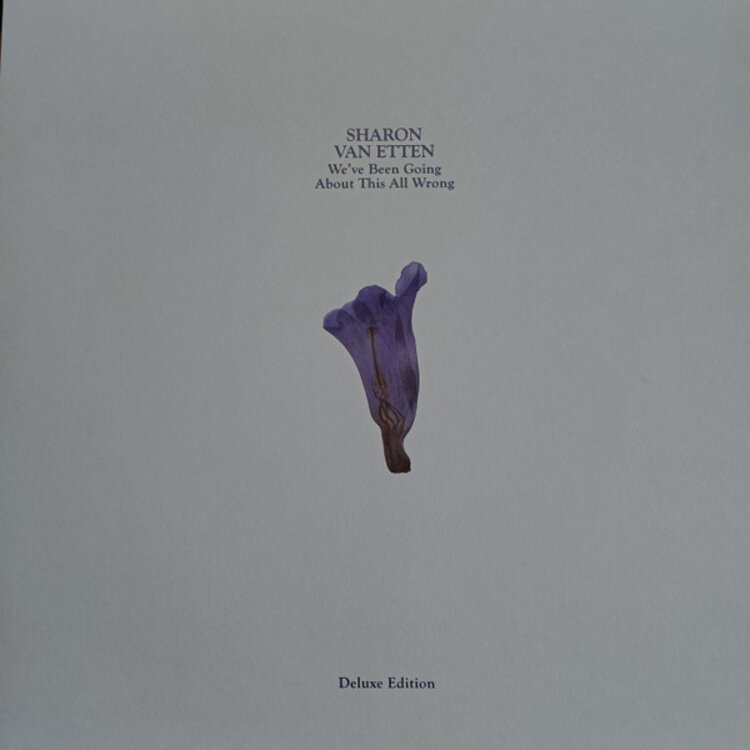 Rock / Indie / Alternative Van Etten, Sharon - We’ve Been Going About This All Wrong LP (deluxe, custard)