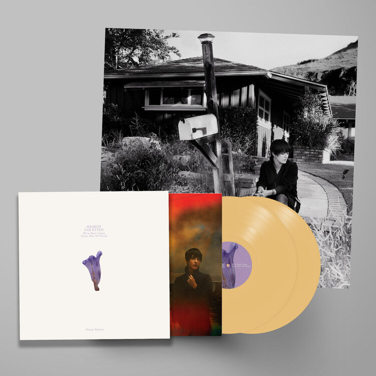 Rock / Indie / Alternative Van Etten, Sharon - We’ve Been Going About This All Wrong LP (deluxe, custard)