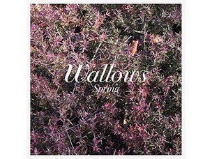Rock / Indie / Alternative Wallows - Spring LP