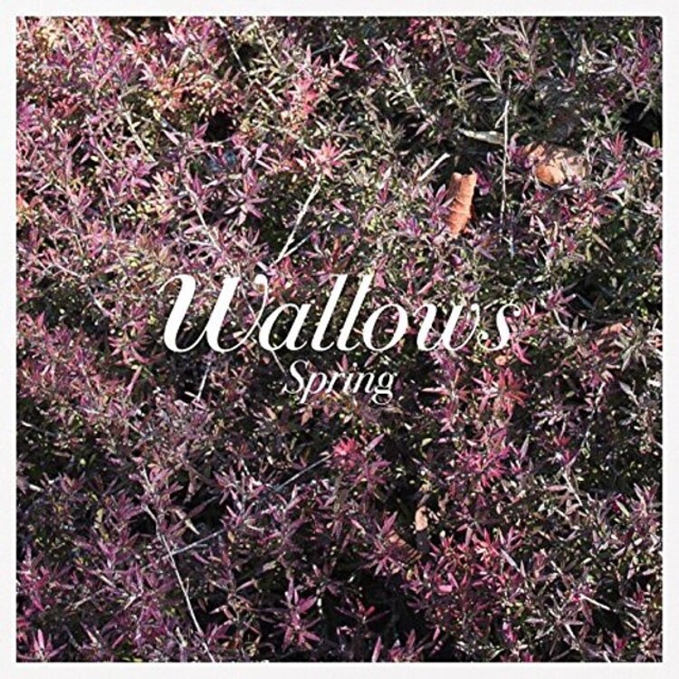 Rock / Indie / Alternative Wallows - Spring LP