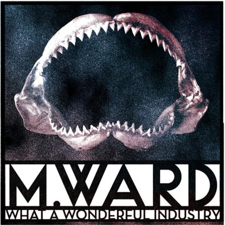 Rock / Indie / Alternative Ward, M - What a Wonderful Industry