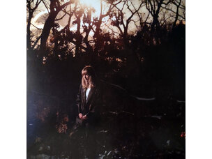 Rock / Indie / Alternative Weather Station - How Is It That I Should Look LP (gold)