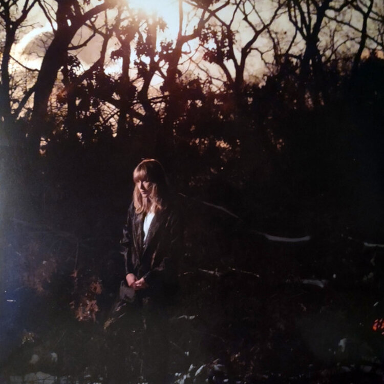 Rock / Indie / Alternative Weather Station - How Is It That I Should Look LP (gold)