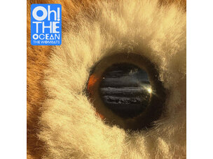 Rock / Indie / Alternative Wombats - Oh The Ocean LP (IEX)